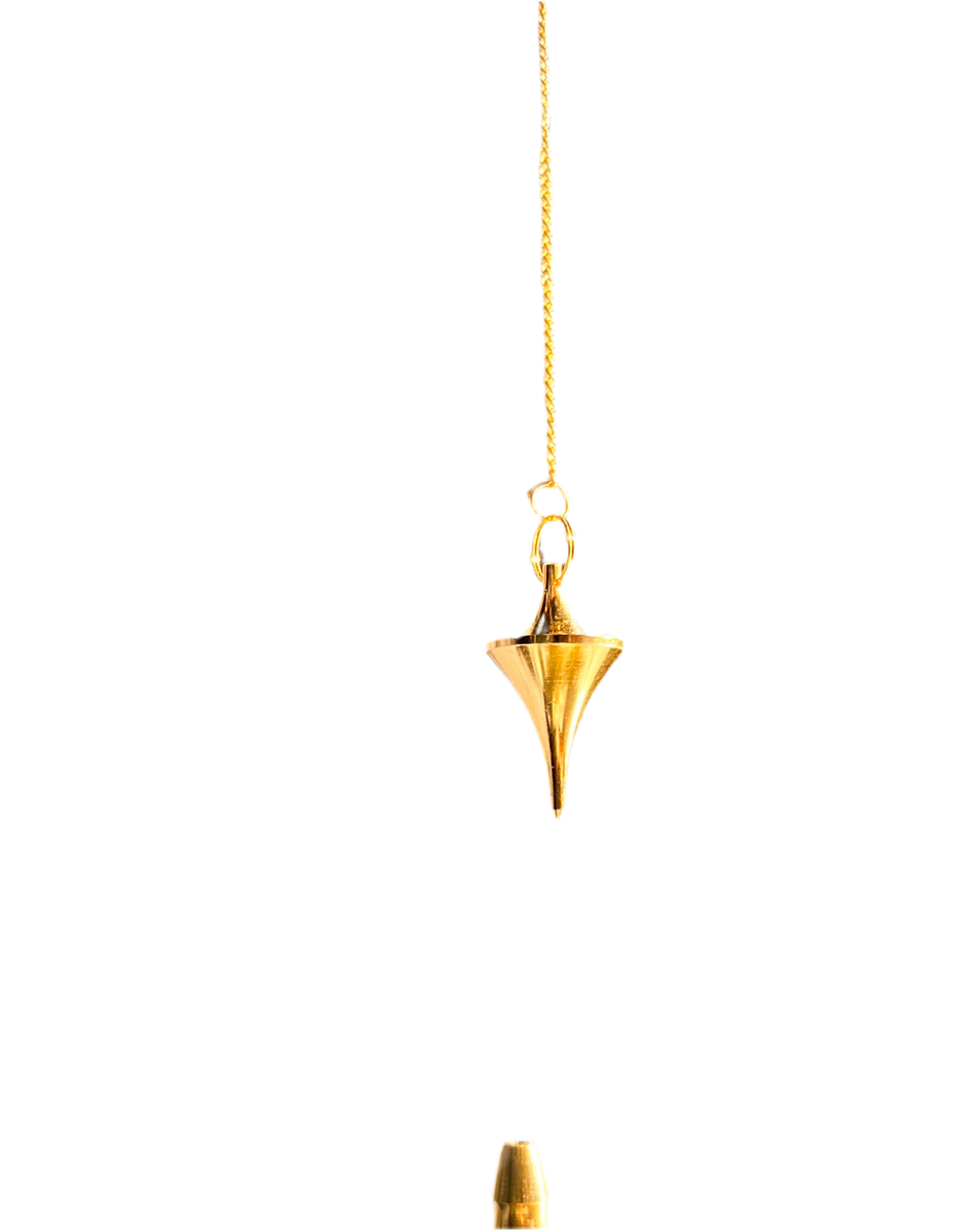 6CB1ED9D-65D6-4F40-8D53-